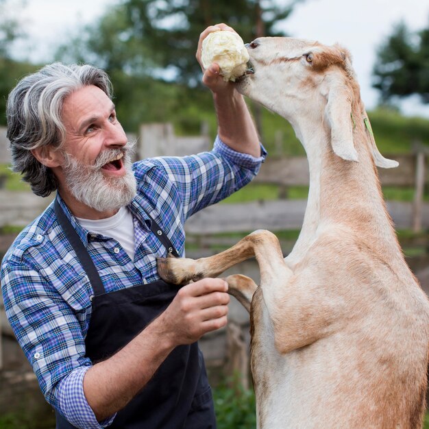 man feeding goat